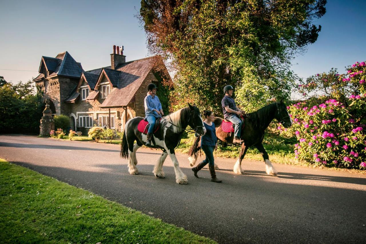 Beech Hill Hotel Londonderry Εξωτερικό φωτογραφία